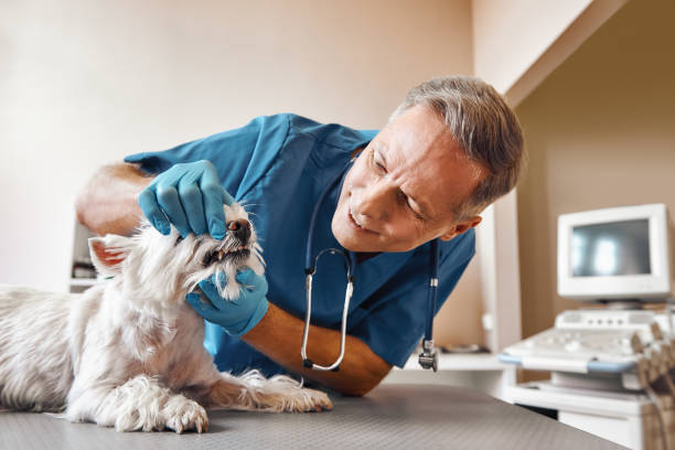 Best Weekend Emergency Dentist in Piketon, OH