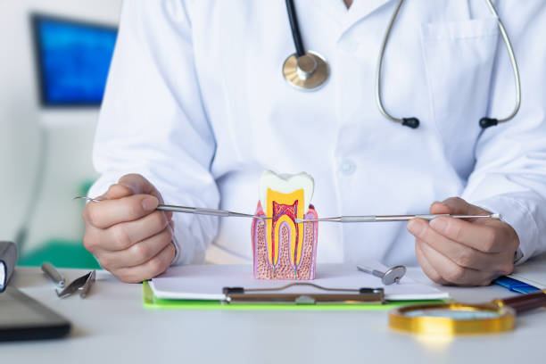 Best Urgent Care for Lost Fillings or Crowns in Piketon, OH